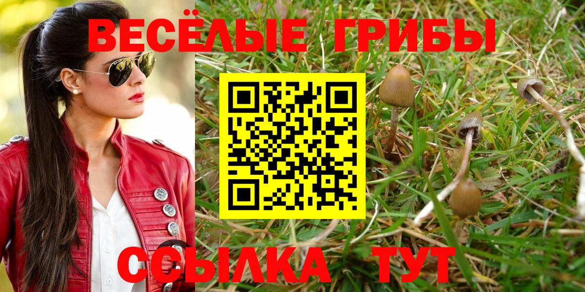 Мефедрон Псков