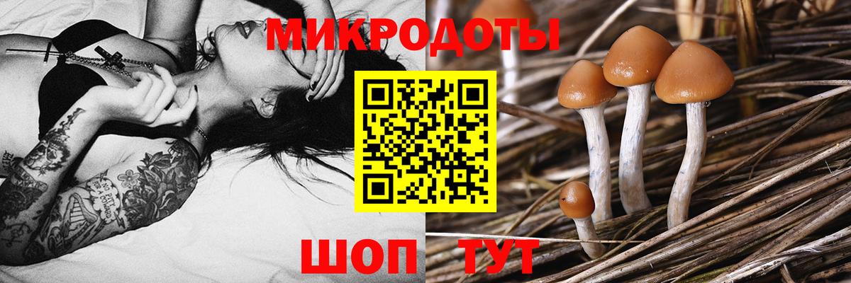 Псилоцибиновые грибы Magic Shrooms Псков